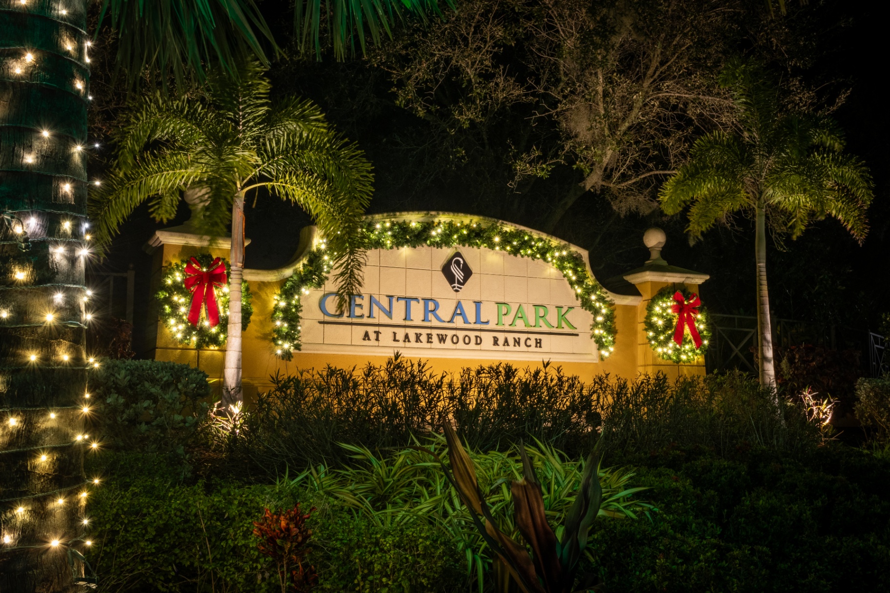 Professional holiday lighting on a Florida home